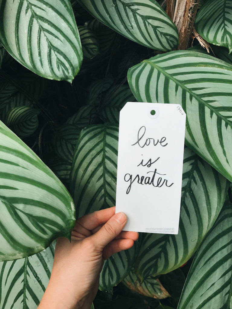 Looking into the future