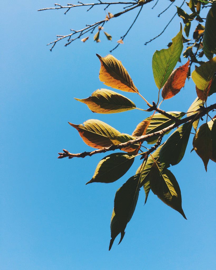 7 Practical Ways to Battle Seasonal Depression